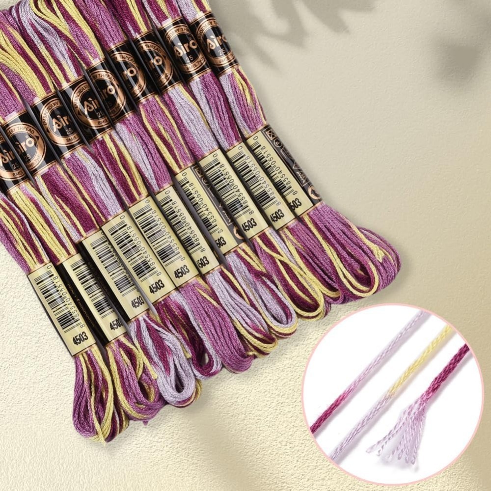 Fil à broder panaché violet, 6 - Embroidery Floss Thread avis et prix