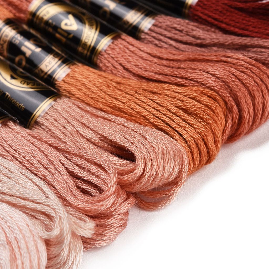 1 lot de 8 écheveaux de fil à  - Embroidery Floss Thread avis et prix